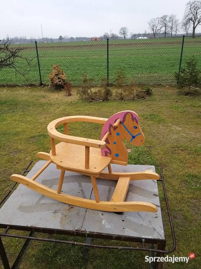 Konik na biegunach Zagórów