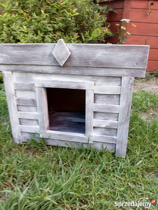 Buda małego psa kota Grodziec