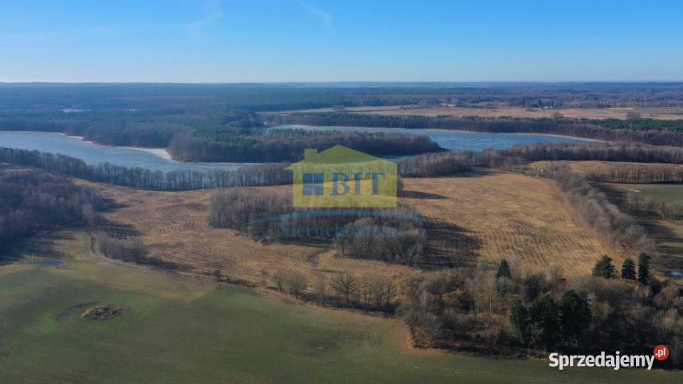 Działka 20ha z dostępem do Jeziora Kaleńskiego Sprzedaż Żelisławie
