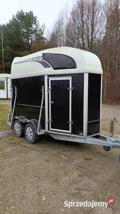 Przyczepa do przewozu koni zwierząt Atec wynajem wielkopolskie Jastrowie