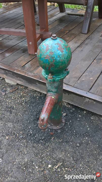 Wiekowa ozdobna pompa ręczna do wody