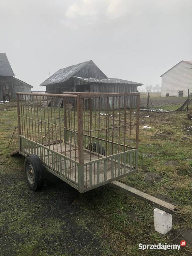 Klatka do przewozu zwierząt Hodowla zwierząt Lubartów