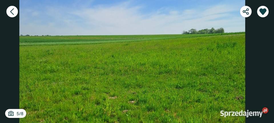 Działki Budowlane Busko Strożyska Media Super telefon Busko-Zdrój