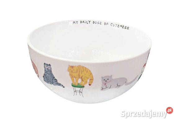 pastelowa miseczka z kotami ceramiczna miseczka Miski Olsztyn