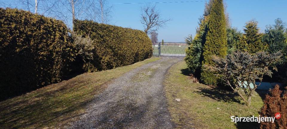 Siedlisko Czernięcin 225 ha dom 148 m 600 000