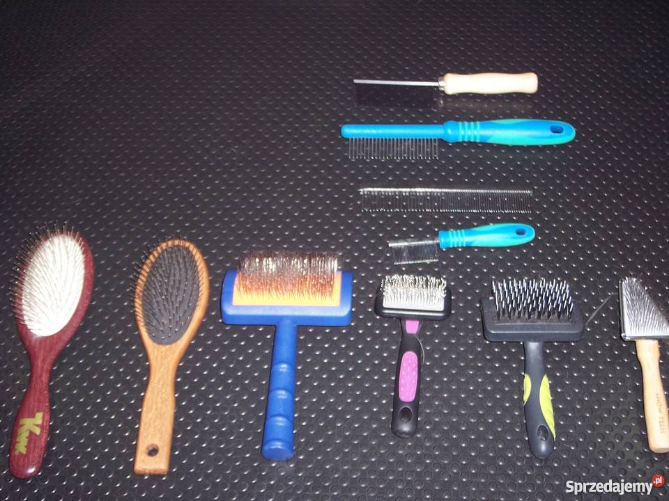 Sprzedam wydzierżawię salon groomerski Bielsko-Biała