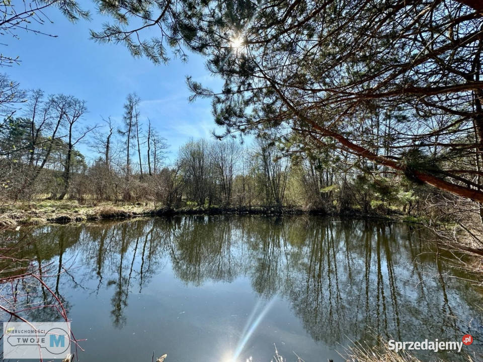 Grunt 1000m2 Daleszyce