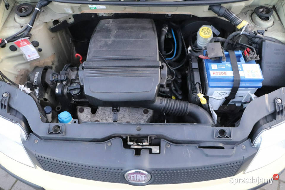 Fiat Panda zarejestrowany II 20032012