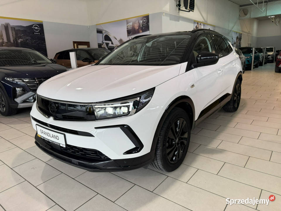 Opel Grandland GS Light 12 Turbo 130 automat AT8 warmińsko-mazurskie Giżycko
