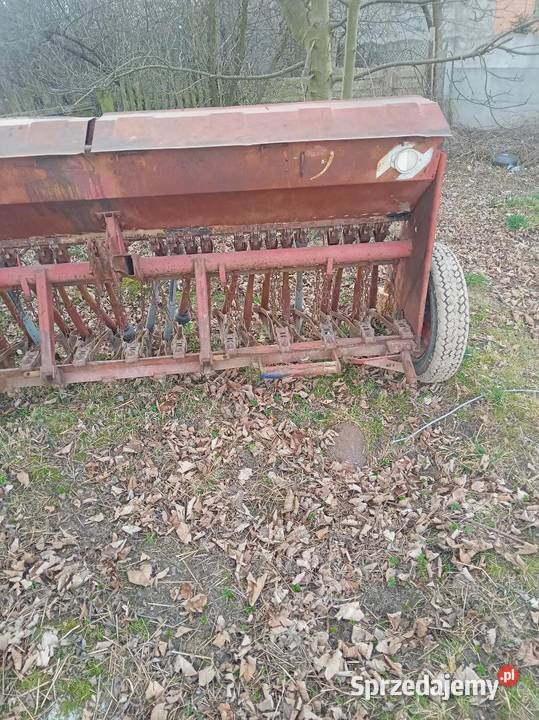 Siewnik Poznaniak Sokolniki