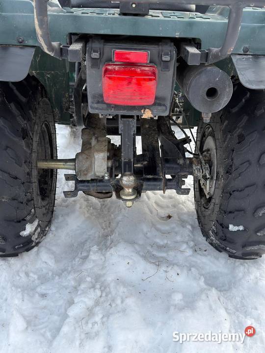 Quad bear tracker 250 Łuków