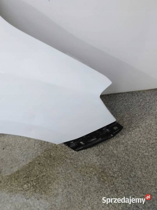 BŁOTNIK PRAWY PRZÓD D389 Dacia Dokker I 2012 Rok produkcji 2015