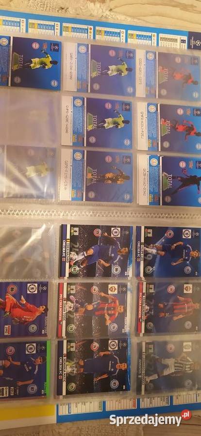 Panini album wielkopolskie Września