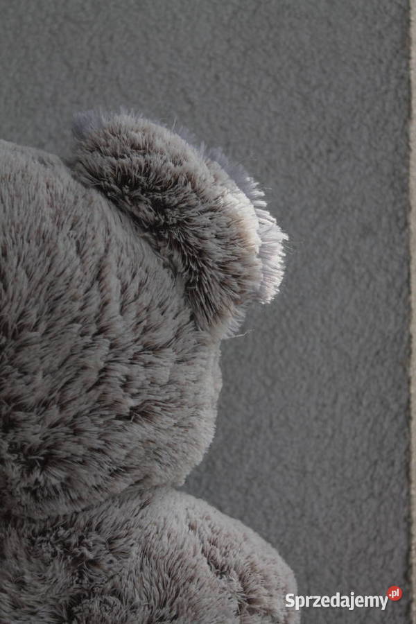 Duża Koala z eukaliptusem Maskotka Pluszak 6m+ Katowice sprzedam