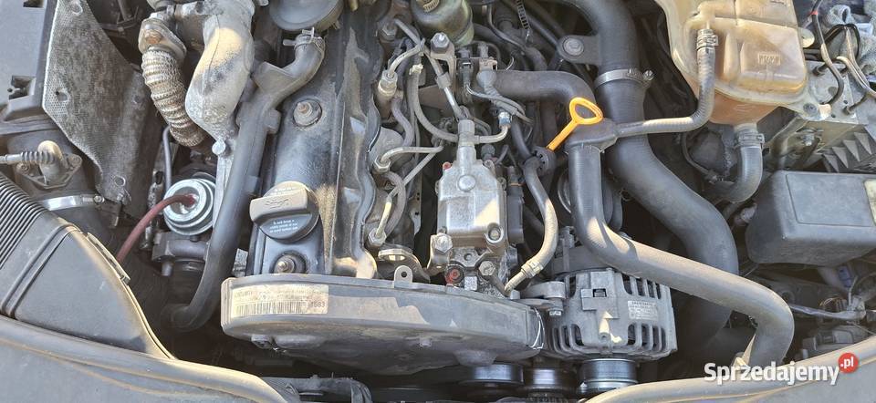 Passat zachodniopomorskie Szczecin