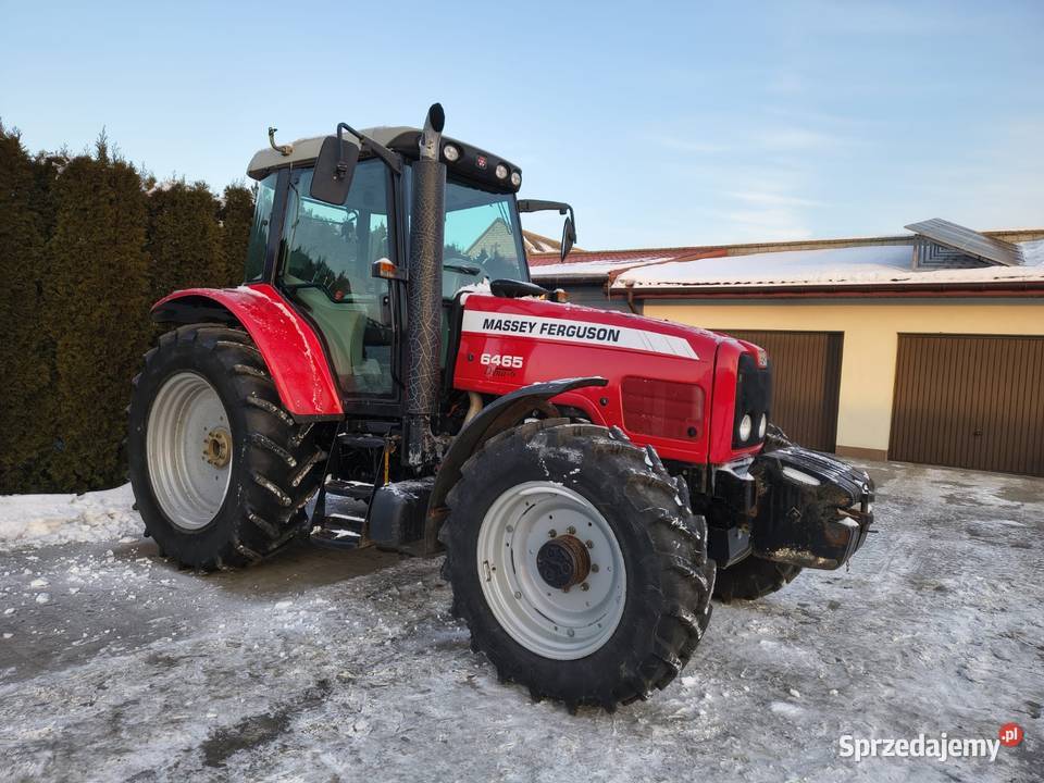 Massey Ferguson 6465 Grabów Szlachecki sprzedam