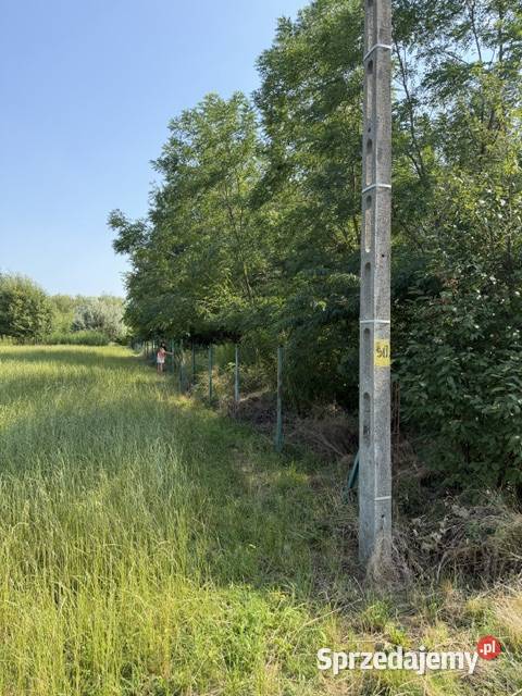 Działka budowlana 1100 m Zarzęcin prąd działce