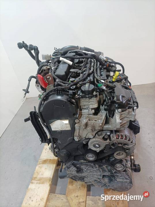 SILNIK KOMPLETNY DIESEL AH01 20 BLUE HDI Peugeot sprzedam