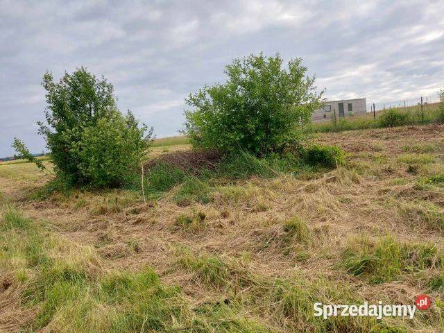 Sprzedam działkę budowlaną pod lasem Sprzedaż świętokrzyskie Kielce sprzedam