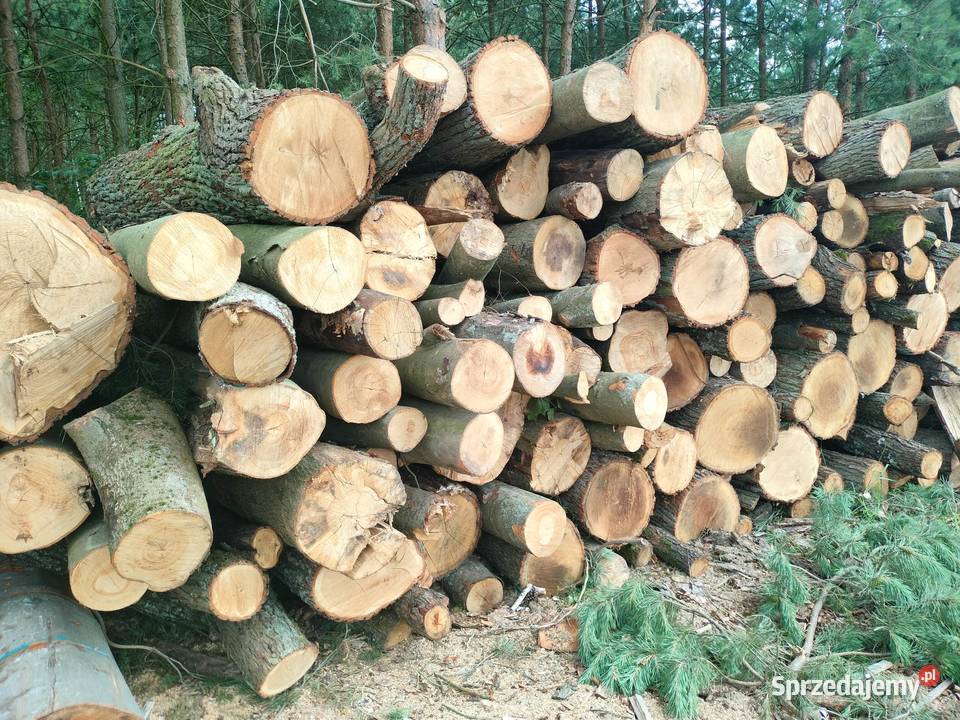 Drewno kominkowe i opalowe zachodniopomorskie Chojna