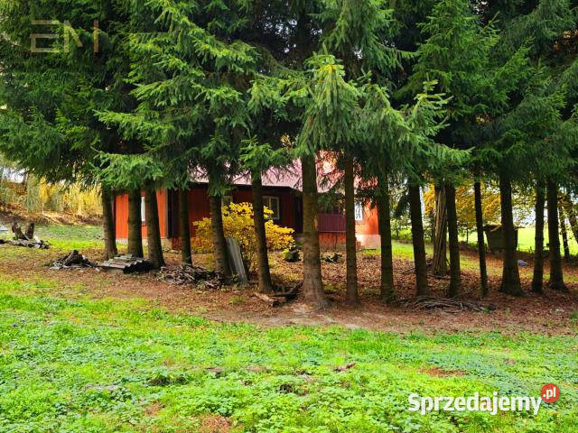 Ogłoszenie dom wolnostojący Pstrągowa 80m2 80m2