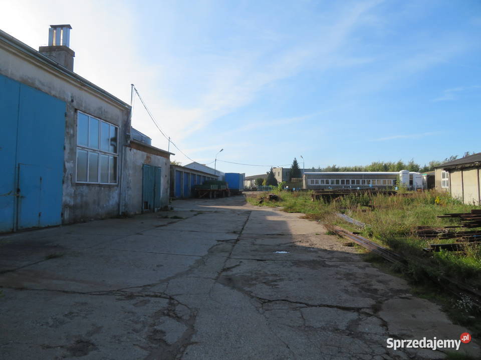 Syndyk sprzeda zakład produkcyjny wyposażeniem w Panowice