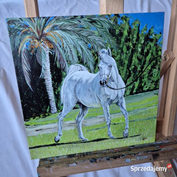 Obraz koń arabski araby konie stajnia klacz małopolskie