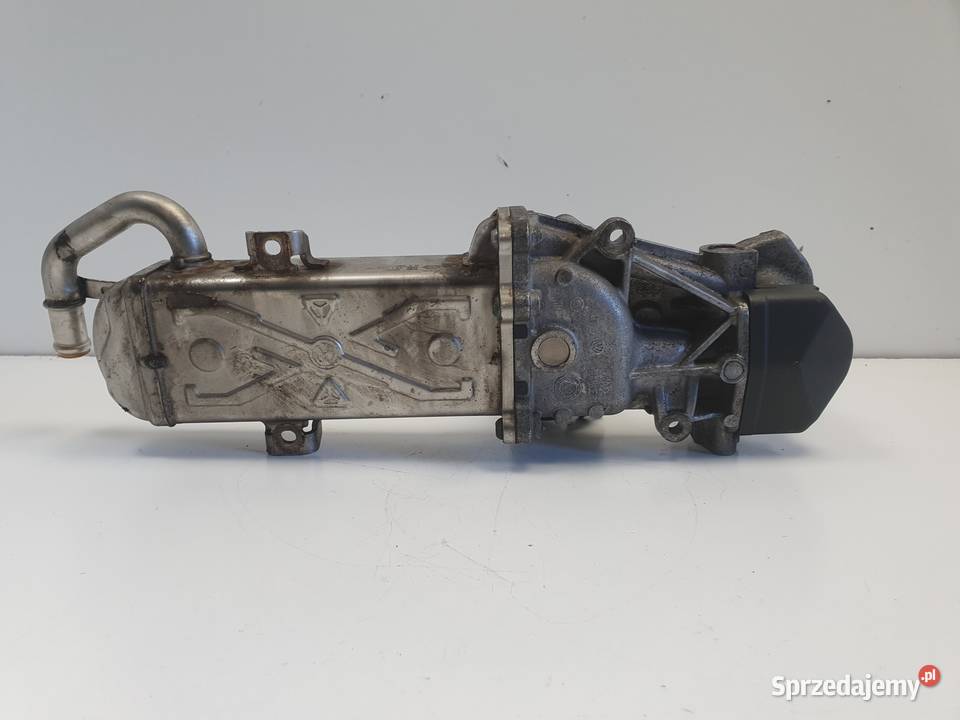 Audi A3 II 8P 16 TDI CHŁODNICA SPALIN egr osobowe Recyrkulacja spalin EGR Janów