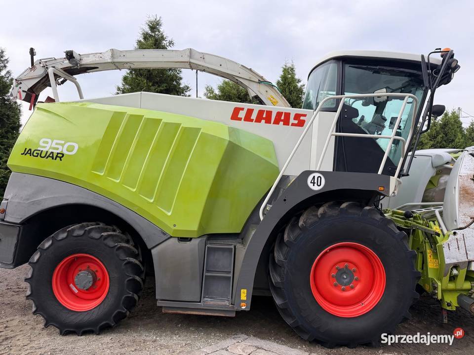 Sieczkarnia do kukurydzy Claas Jaguar 950 w Nowa Ruda