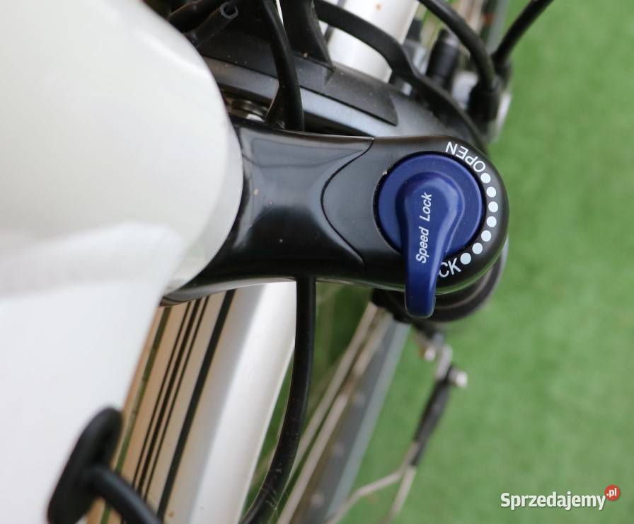 Rower elektryczny Flyer D 45I inne rowery Milanówek sprzedam