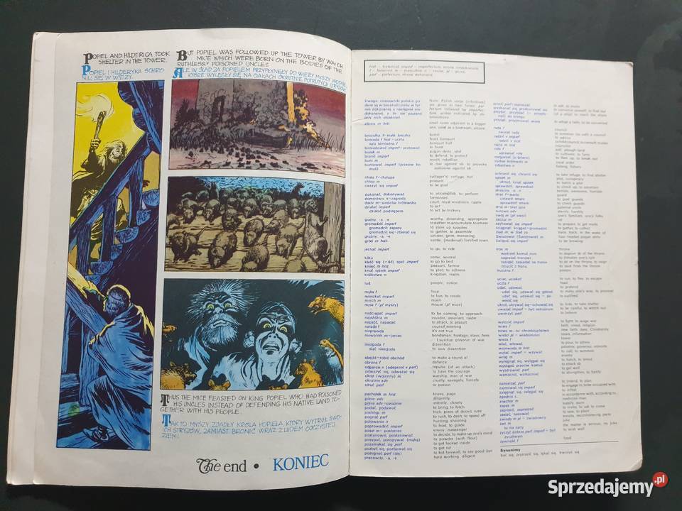 Opowieść o Popielu i Myszach jęz angielski Gdynia sprzedam