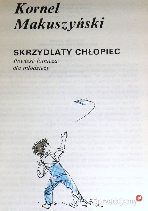 Skrzydlaty chłopiec Kornel Makuszyński Pozostałe lubelskie Chełm