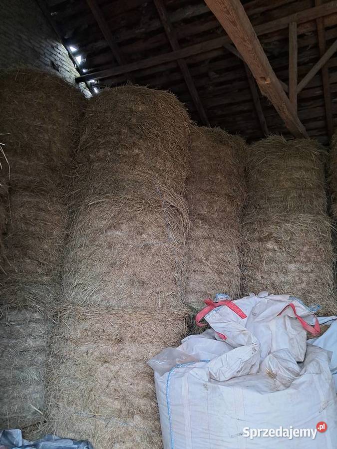 Słoma i siano w belach Ułęż