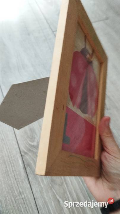 obraz obrazek dekoracyjny biedronka Poznań