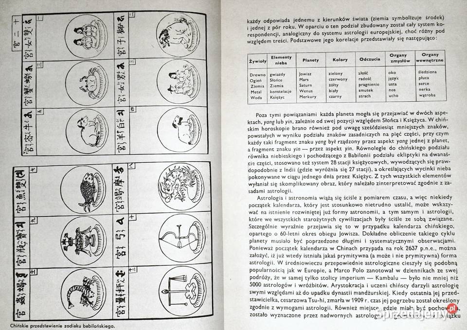 Mandala życia Astrologia Mity i rzeczywistość Chełm