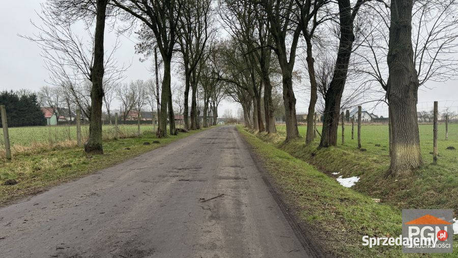 Grunt Jarszewo 1503m2 gaz Sprzedaż