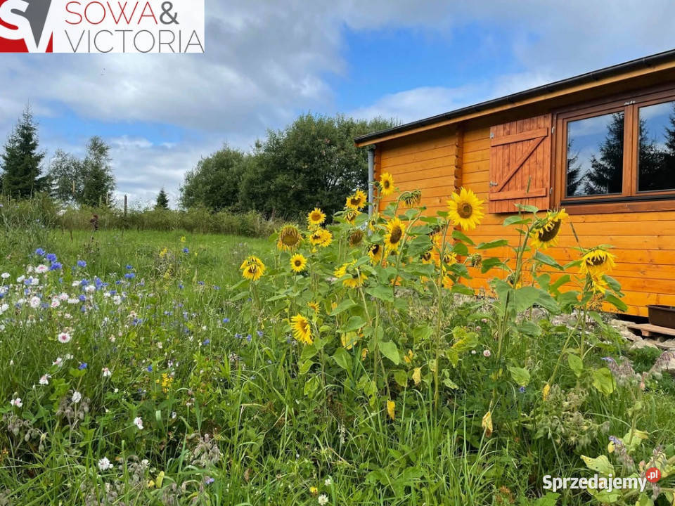 Domek rekreacyjny na działce 2000 m2 Sierpnicy Sierpnica