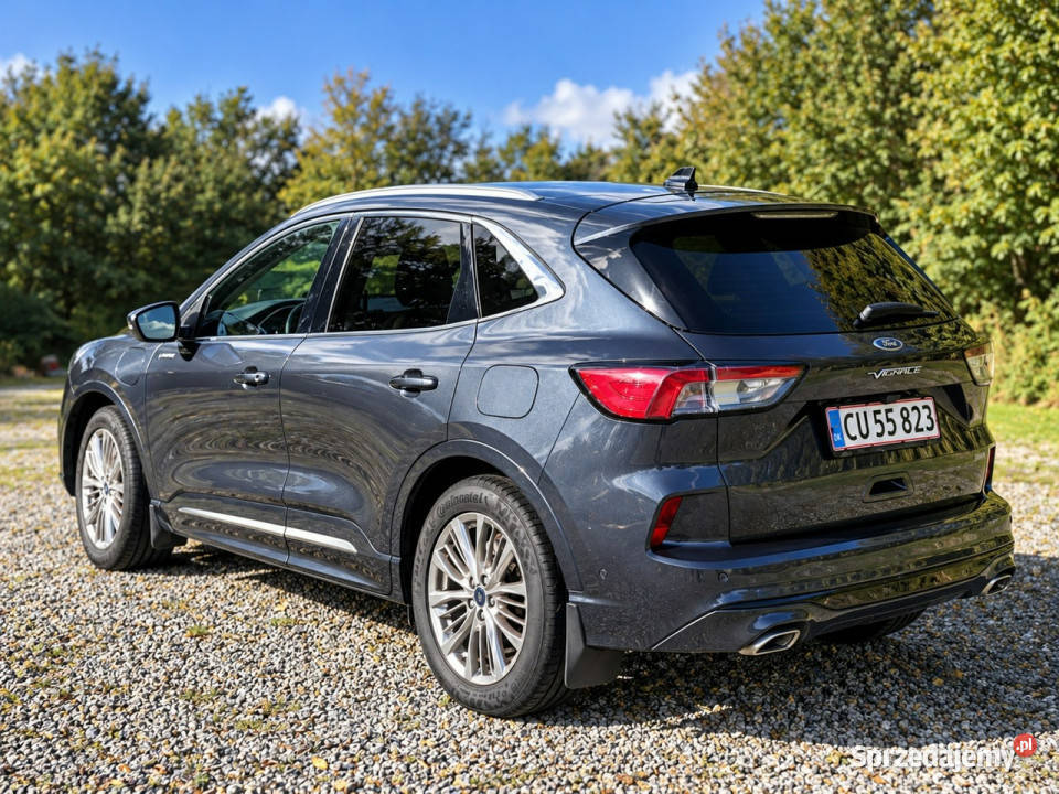 Ford Kuga III 2019