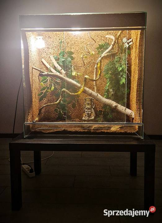 Sprzedam Terrarium szklane 80 396 85 2 lampy UVB Gdańsk