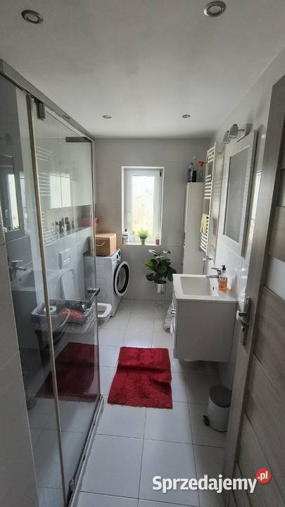 Dom w Dominowie stawami 1272m2 Dominów sprzedam