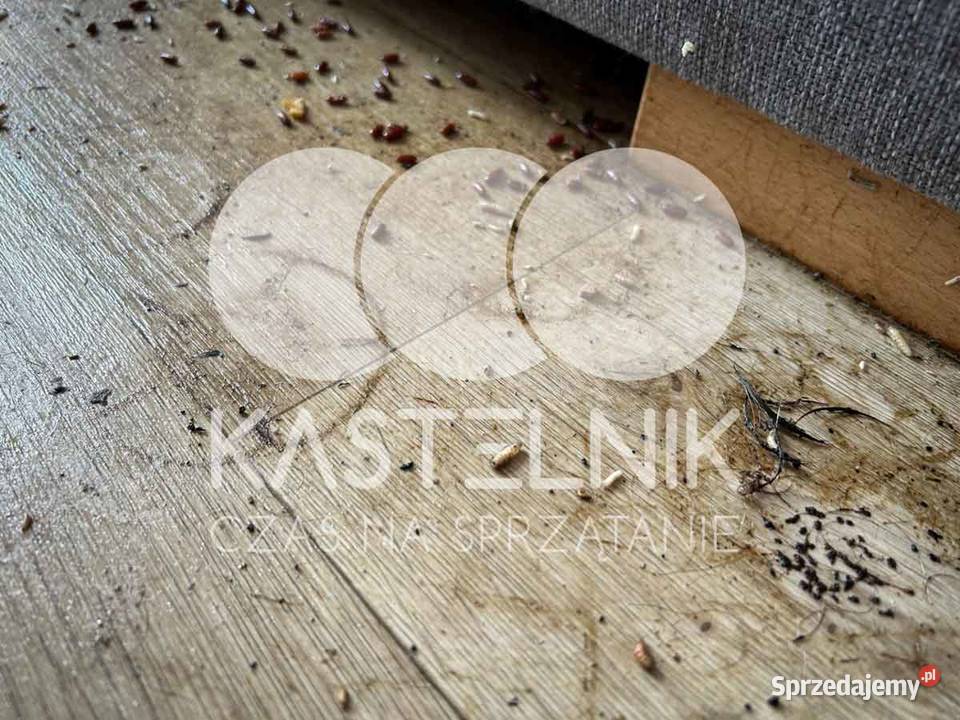Sprzątanie zgonach Złocieniec Kastelnik