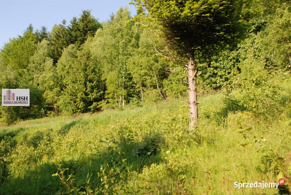 Działka do sprzedania Maków Podhalański 14000m2 Sprzedaż małopolskie