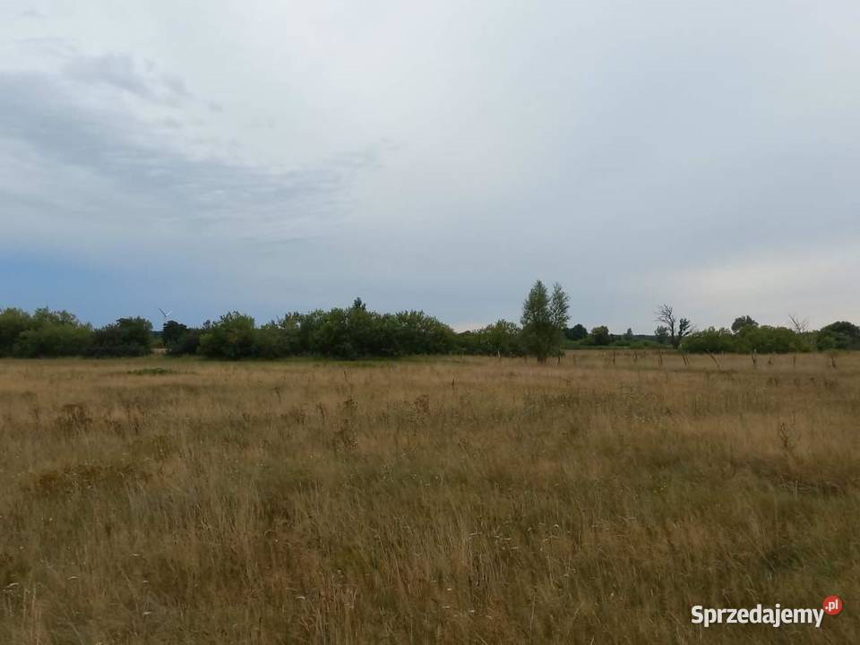 Działka w pobliżu morza 3400m2 Darłowo