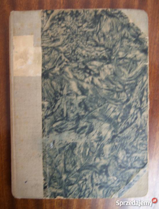 Józef Ignacy Kraszewski Zygmuntowskie czasy t I Rok wydania 1946 Parczew