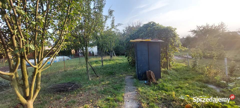 Ogódek działkowy ROD Oława