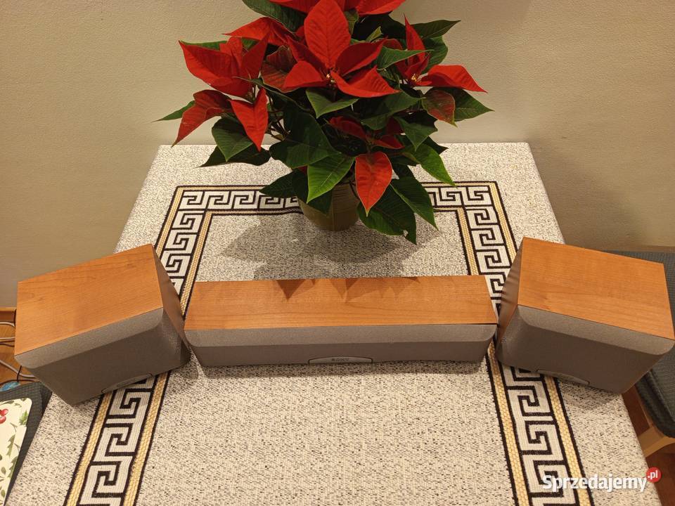 Głośniki Sony sssr250 i sscn900 do kina domowego sprzedam