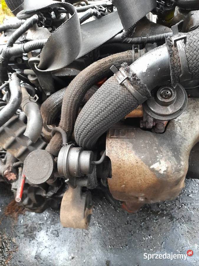 HYUNDAIKIA 20 CRDI20Tci silnik na czesci dawca pomorskie Jastrzębia Góra