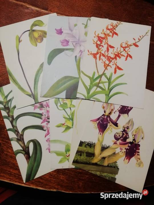 Balcerzak Alojzy kartki kolekcjonerskie Kraków