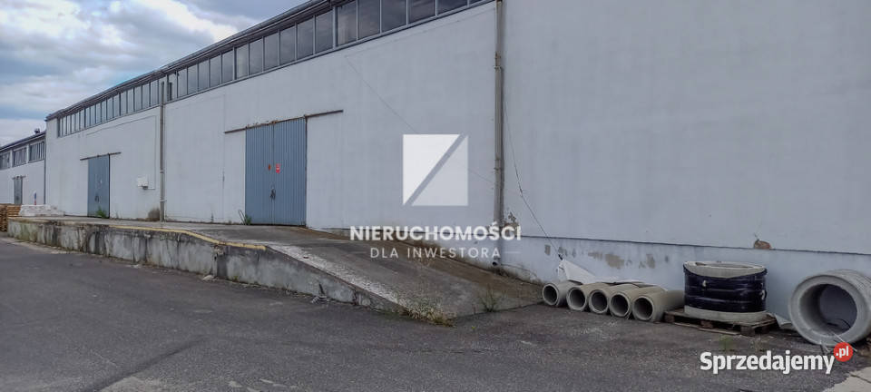 Hala magazynowa 810 m S3 4 bramy rampa Gorzów Wielkopolski