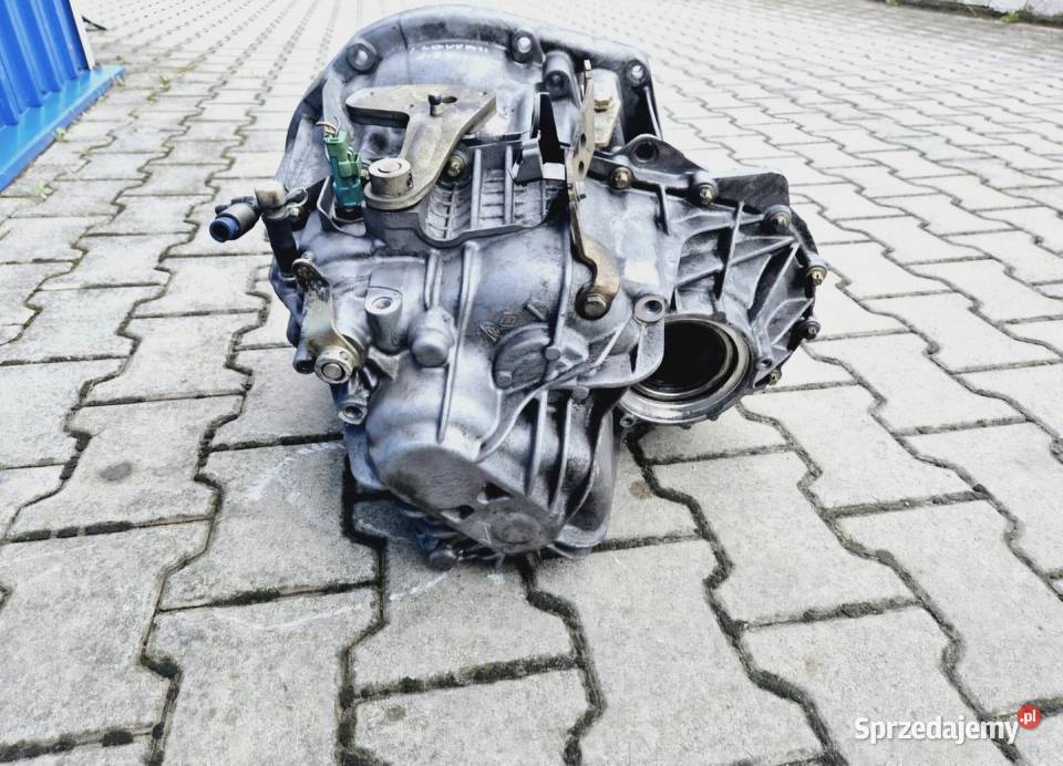6 BIEG MANUALNA SKRZYNIA BIEGÓW 19 DCI RENAULT Działoszyce